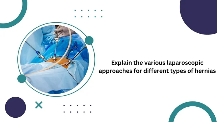 explain-the-various-laparoscopic-approaches-for-different-types-of-hernias